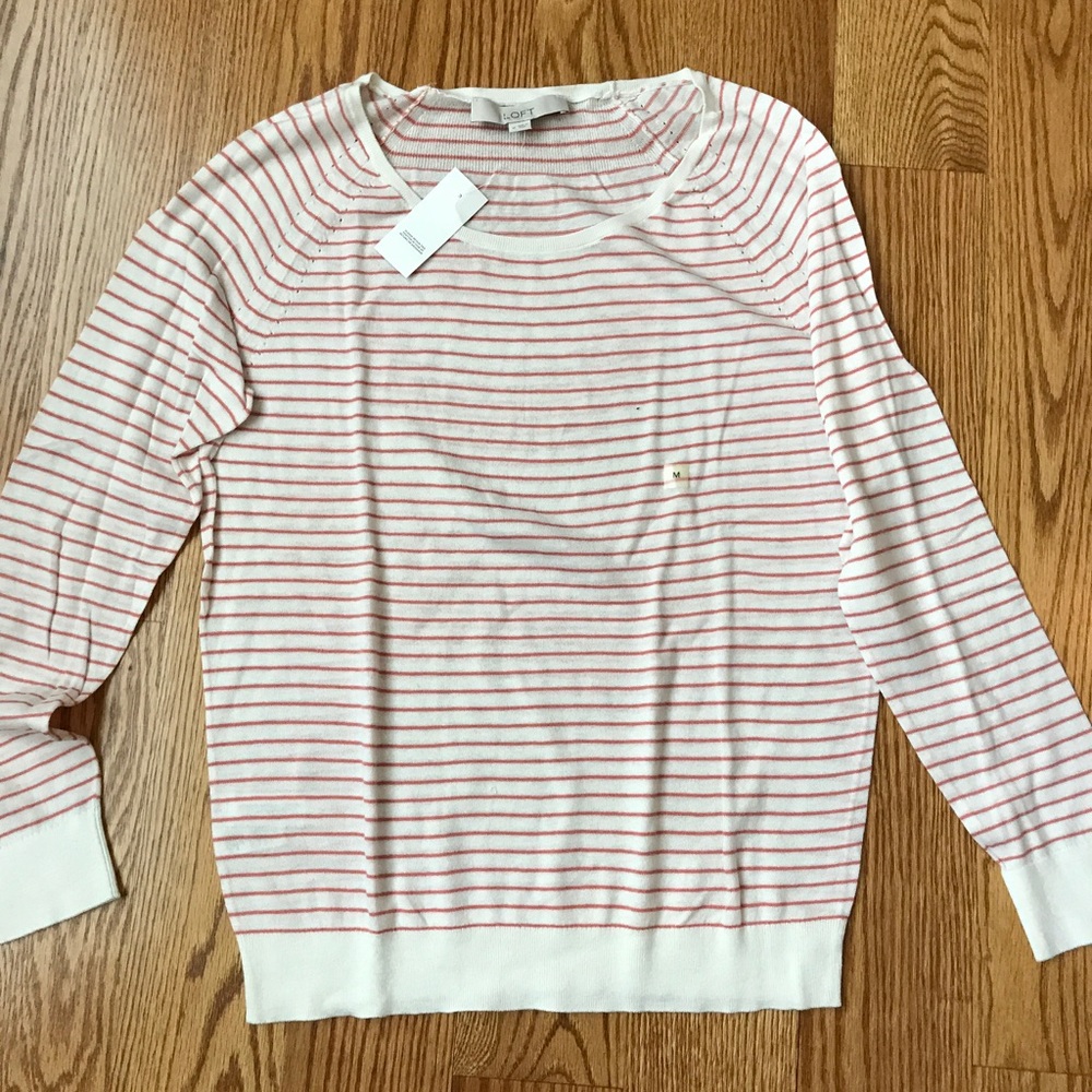 Ann Taylor Loft Sweater