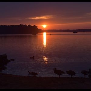 Meet your Posher, Josh