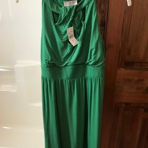 Ann Taylor Loft Dress