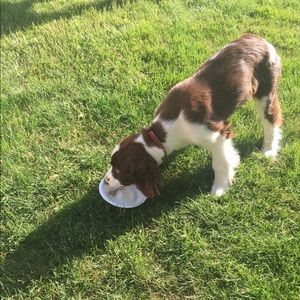 Meet your Posher, Tim