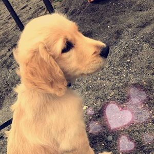 Meet your Posher, Kennedy