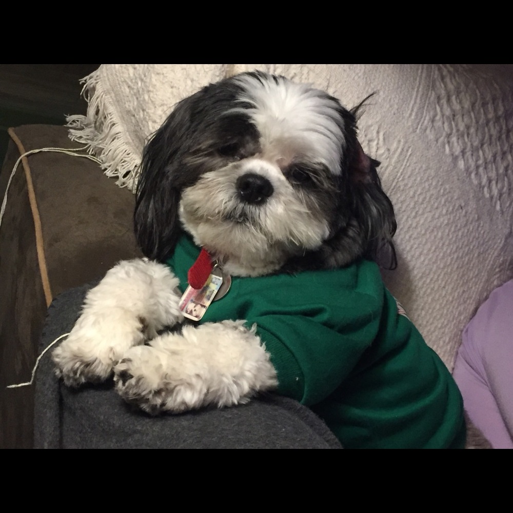 Meet your Posher, Myra