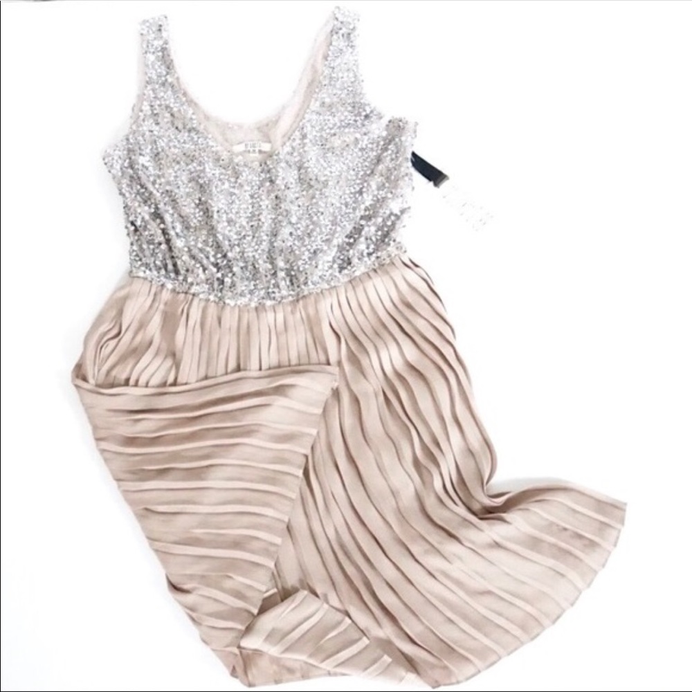 BNWT!! BB Dakota Olsen sequin chiffon dress