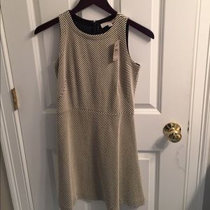 Black and white Loft dress with tag attached