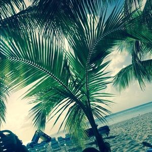 Meet your Posher, Zoe