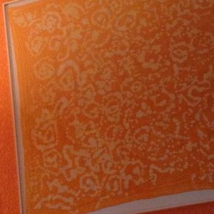 Meet your Posher, Pam