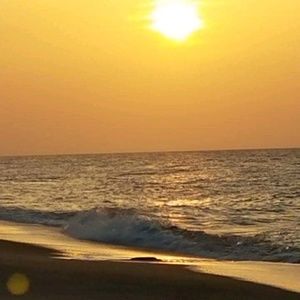 Meet your Posher, Joy