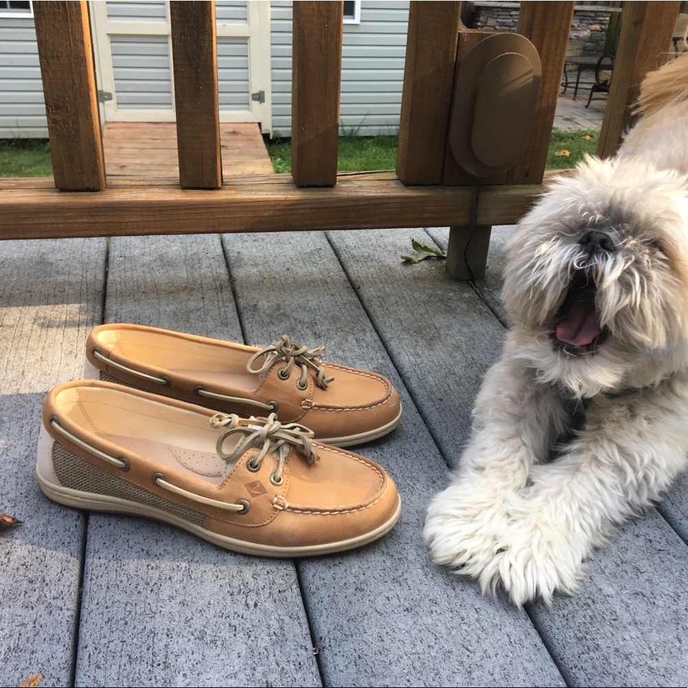 Sperry's Boat Shoes