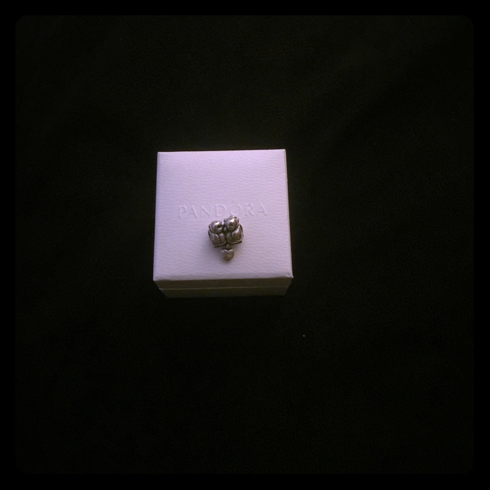 Pandora charm