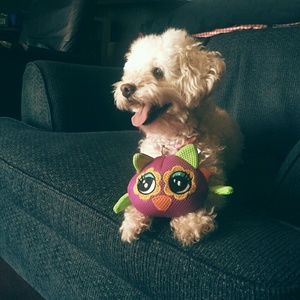 Meet your Posher, Jade