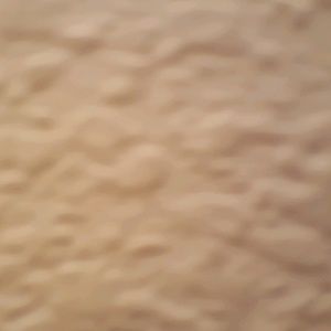 Meet your Posher, Javier