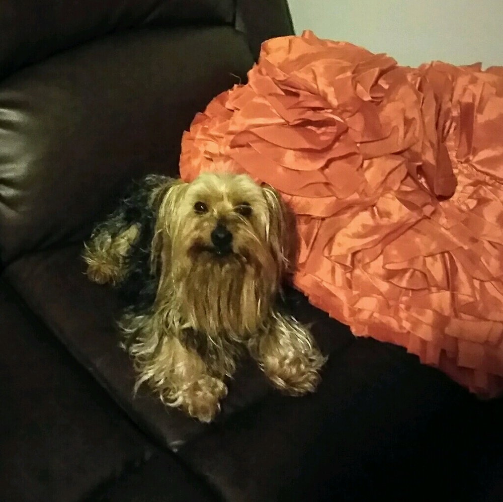 Meet your Posher, Silbia