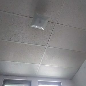 Meet your Posher, Benjamin