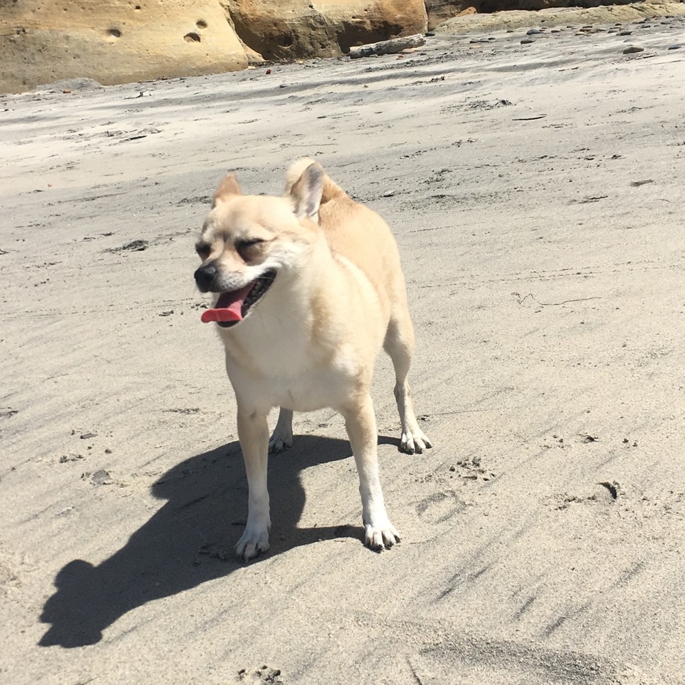 Meet your Posher, Delaney