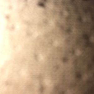 Meet your Posher, Cassandra