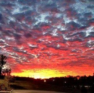 Meet your Posher, Myra