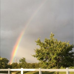 Meet your Posher, Jayne