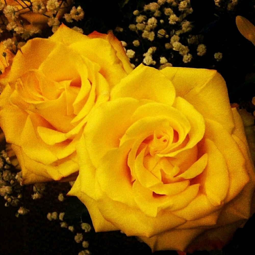 Meet your Posher, Esteyana