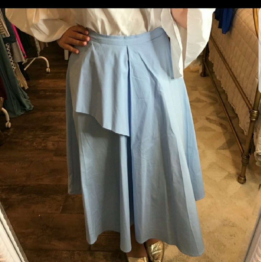 Zara Midi Skirt