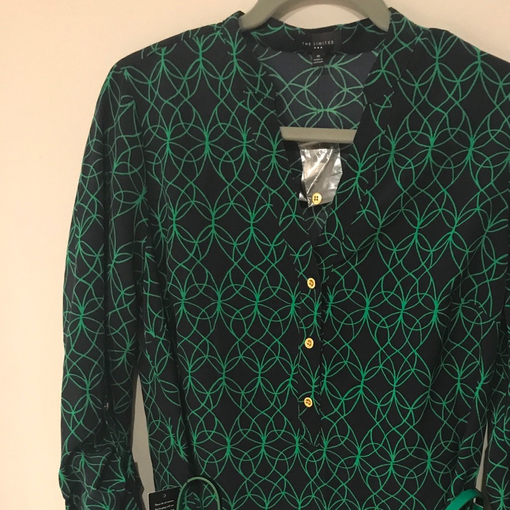 NWT green and black shift dress with belt!