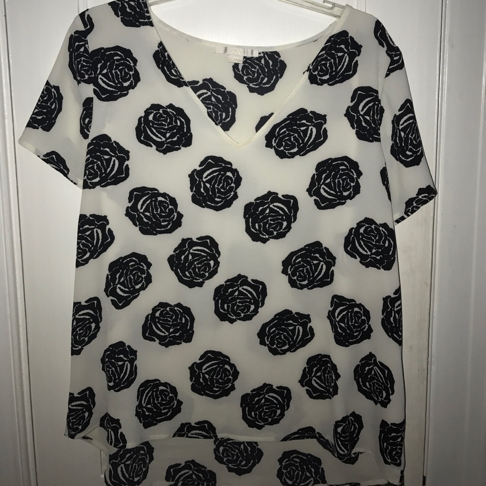 Sheer rose vneck
