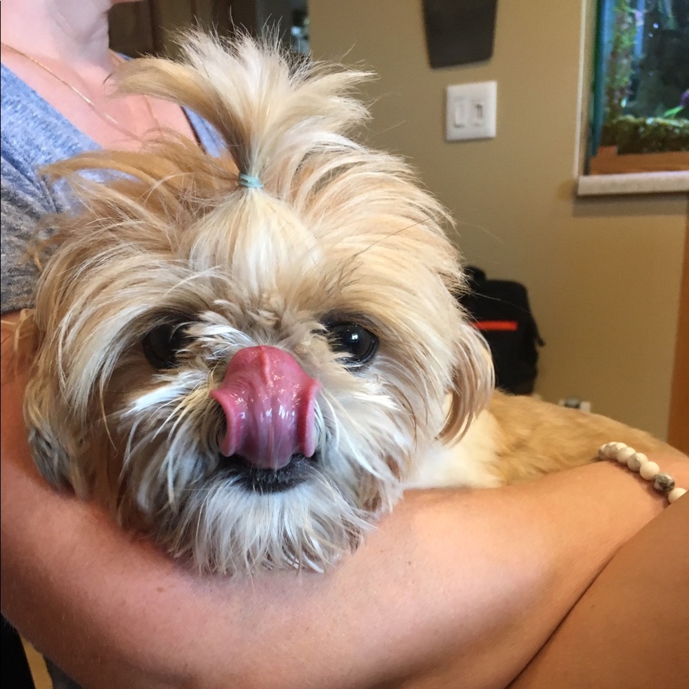 Meet your Posher, Gabby