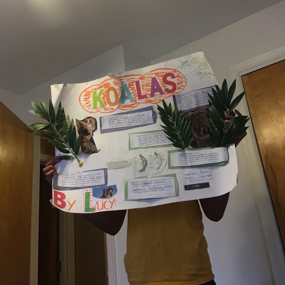 A girl and her third grade project