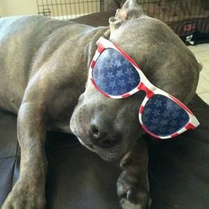 Meet your Posher, Randall