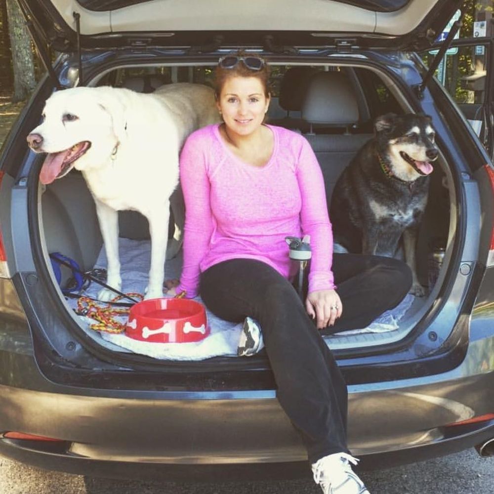 Meet your Posher, Johnna