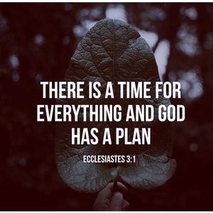 Meet your Posher, Lay