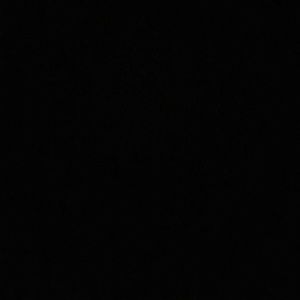 Meet your Posher, Raeniya