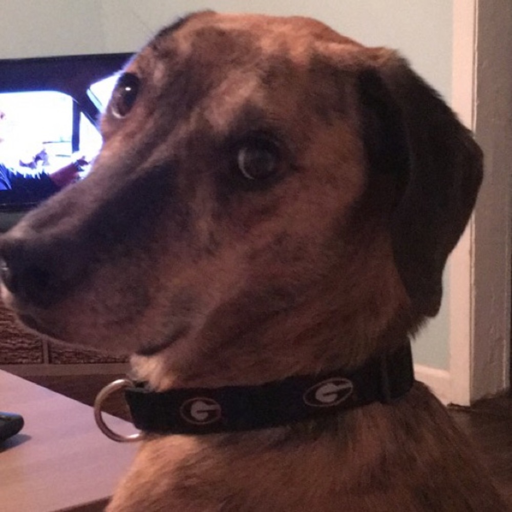 Meet your Posher, Grace