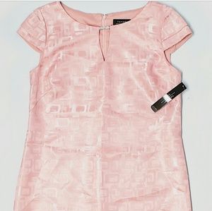 NWT Tahari Light Pink Shift Dress sz 4