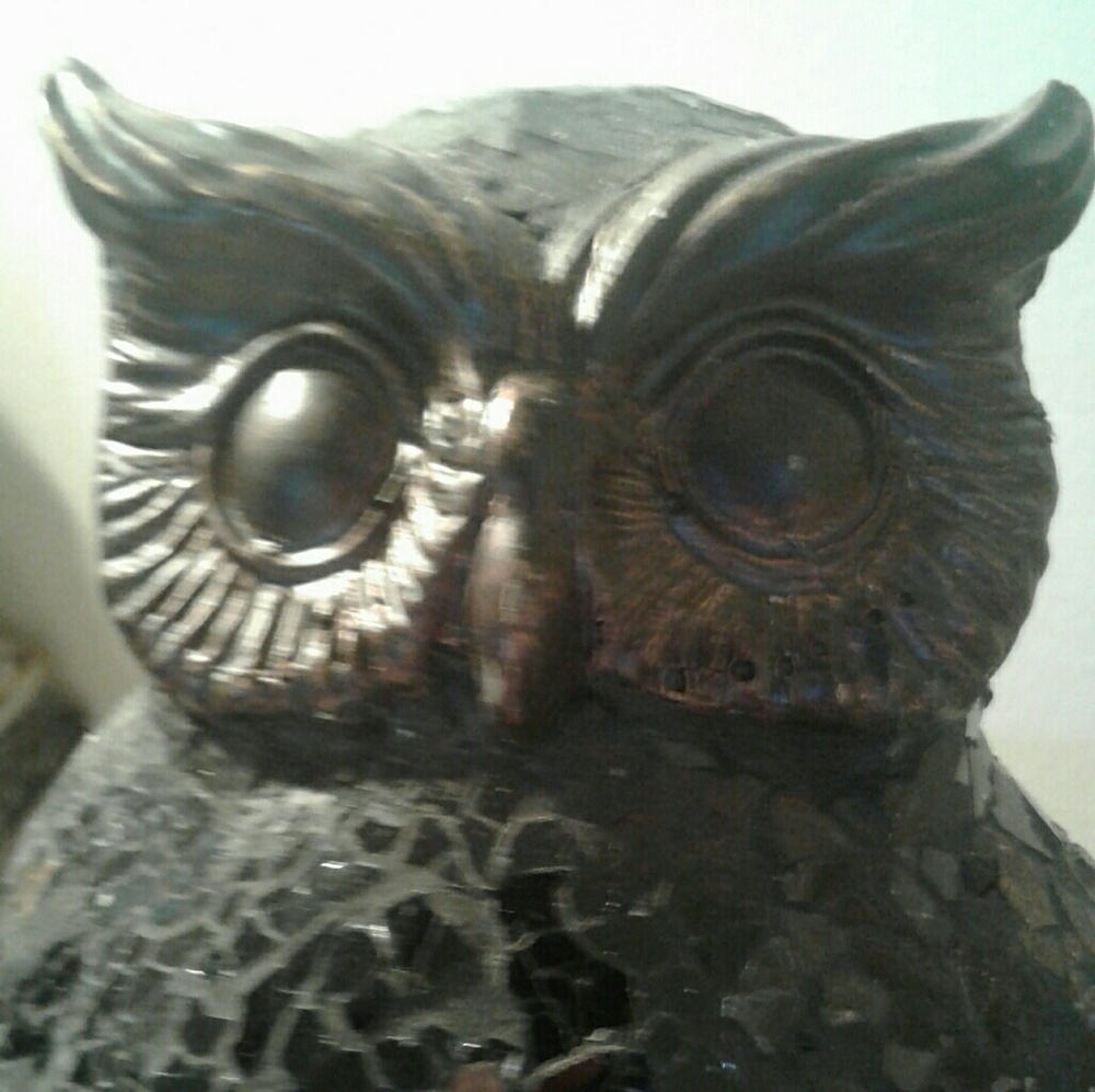 Owl light