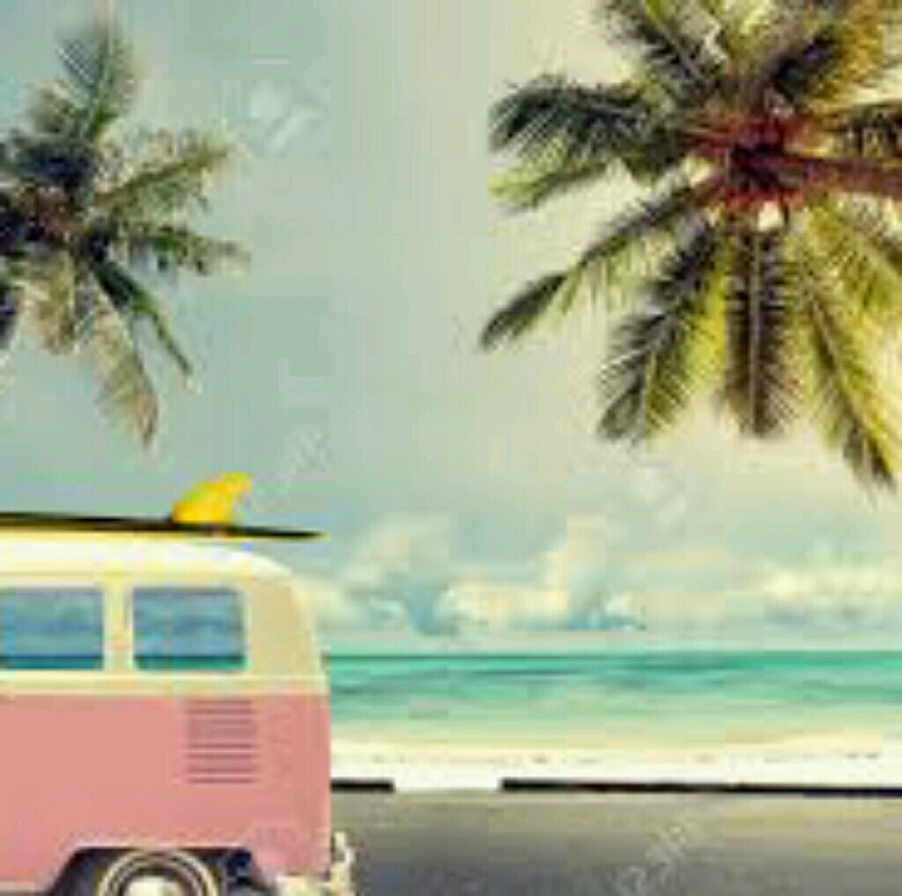 Meet your Posher, Whitley