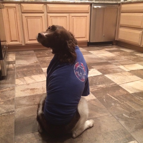 Meet your Posher, Jessica - Picture 1 of 1