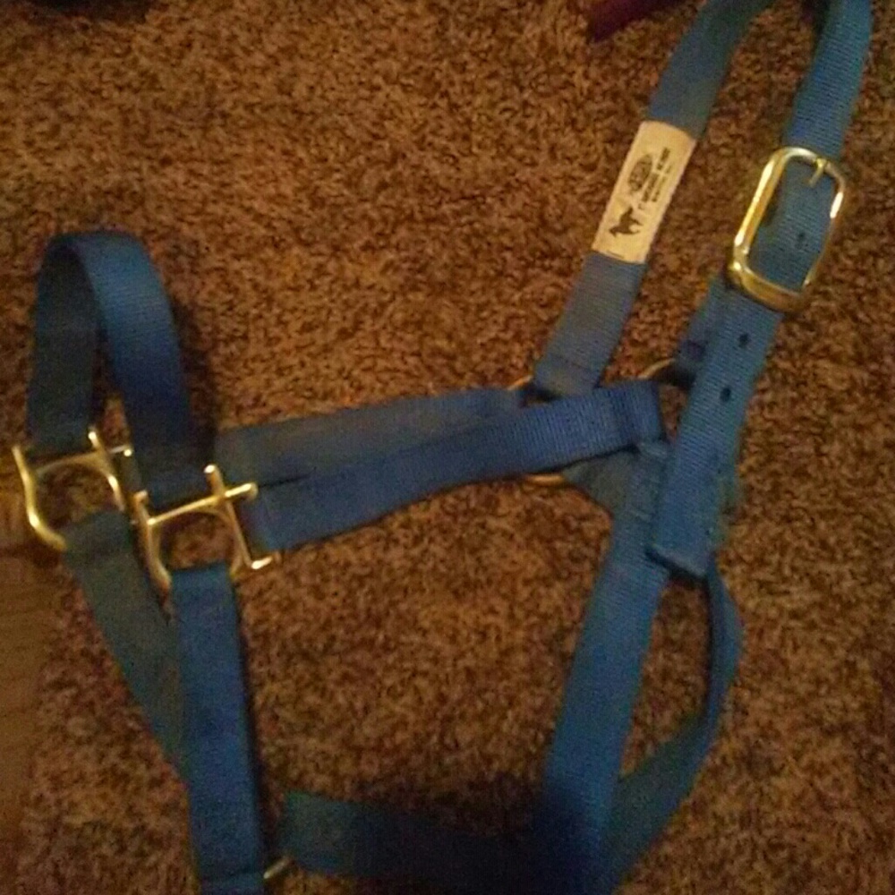 Halters