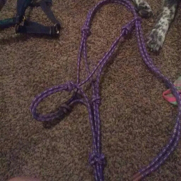 Halters - Picture 3 of 7