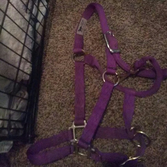 Halters - Picture 6 of 7