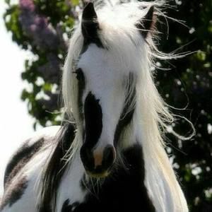 Meet your Posher, Shauna