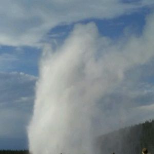 Meet your Posher, Alayna