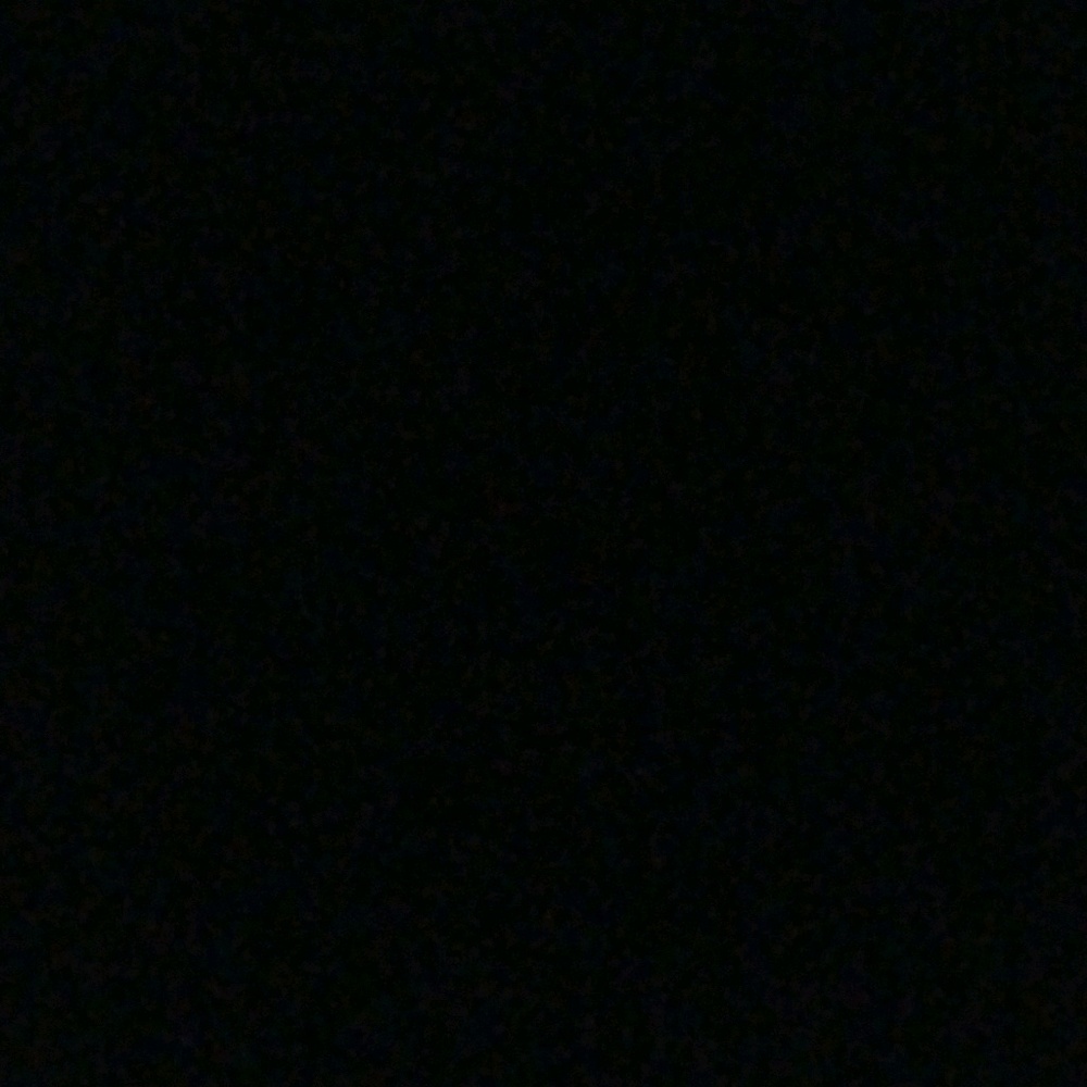 Meet your Posher, Elvia