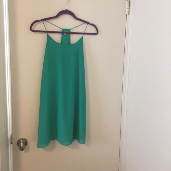 Sale: New Beautiful Naked Zebra Mini Dress - Picture 3 of 6