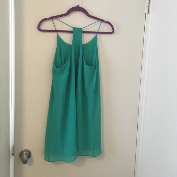 Sale: New Beautiful Naked Zebra Mini Dress - Picture 4 of 6