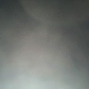 Meet your Posher, Daniella