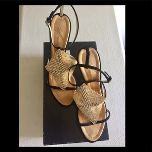 Giuseppe Zanotti Crystal Sandal