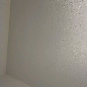 Meet your Posher, Dinora