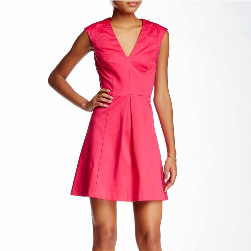 French Connection Flare Dress