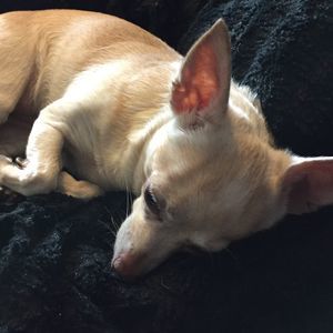 Meet your Posher, Lynn