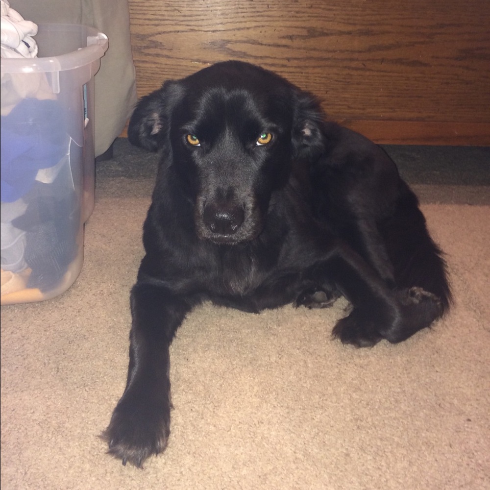 Meet your Posher, Jenna